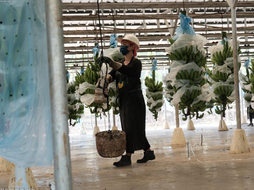 សារៈសំខាន់នៃការរាយការណ៍សុវត្ថិភាពដើម្បីការពារអ្នក