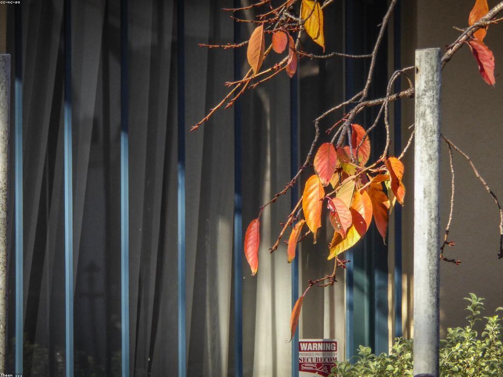 យុទ្ធសាស្រ្តសុវត្ថិភាពប្រព័ន្ធ